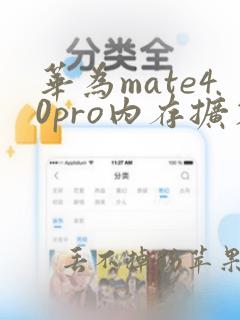 华为mate40pro内存扩容