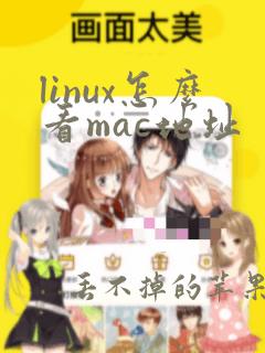 linux怎么看mac地址