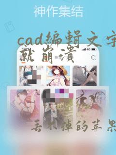 cad编辑文字就崩溃