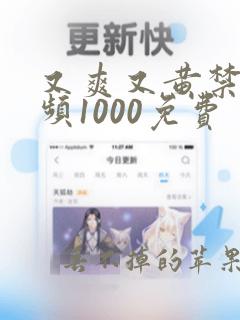 又爽又黄禁片视频1000免费