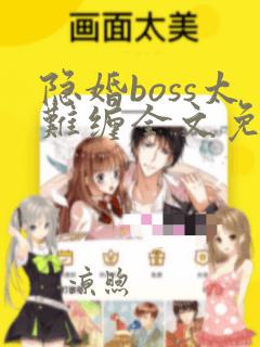 隐婚boss太难缠全文免费阅读