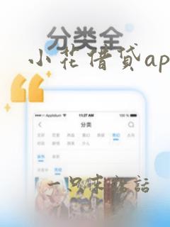 小花借贷app