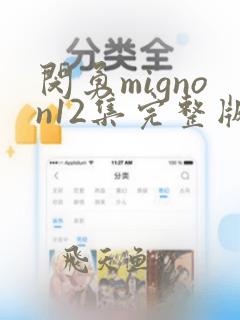 闵勇mignon12集完整版