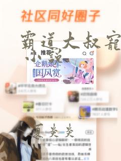 霸道大叔宠甜妻 小说