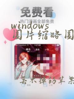 windows图片缩略图显示不出来