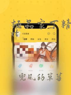 极品家丁精校txt