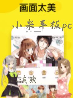 小米平板pc版