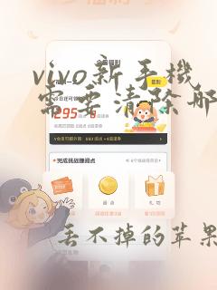 vivo新手机需要清除哪些功能