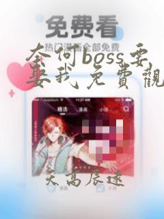 奈何boss要娶我免费观看全集