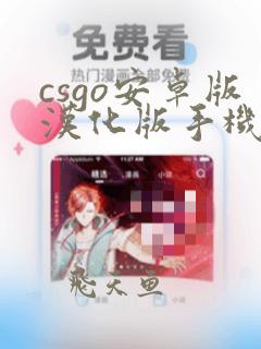 csgo安卓版汉化版手机单机版