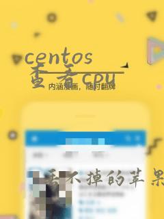 centos 查看cpu