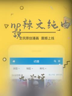 np辣文纯肉小说