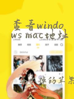 查看windows mac地址