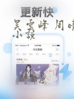 吴云峰 周晴的小说