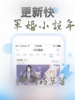 军婚小说年代文