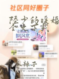 陆少的暖婚新妻全文下载