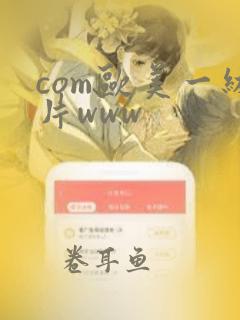 com欧美一级片www