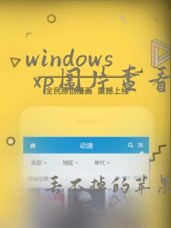 windows xp图片查看器