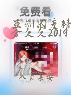 亚洲国产精品综合久久2019