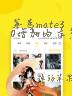 华为mate30增加内存多少钱