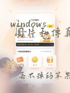 windows 图片和传真查看器