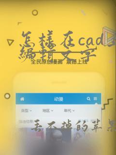 怎样在cad上编辑文字