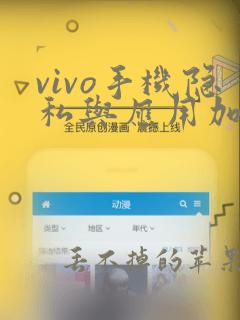 vivo手机隐私与应用加密如何解开