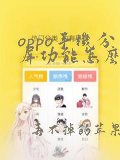 oppo手机分屏功能怎么操作