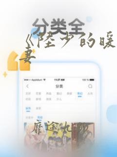 《陆少的暖婚新妻