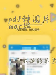 pdf转图片 mac版