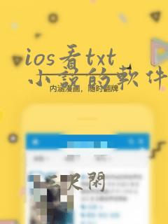 ios看txt小说的软件