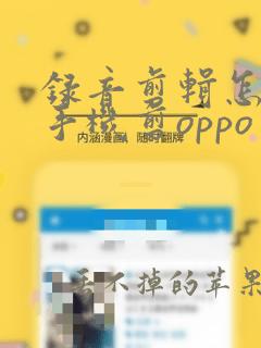 录音剪辑怎么用手机剪oppo