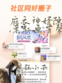 麻衣神婿陈黄皮,叶红鱼有声小说