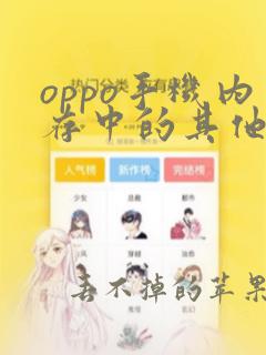 oppo手机内存中的其他是什么