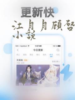 江月月顾启泽的小说