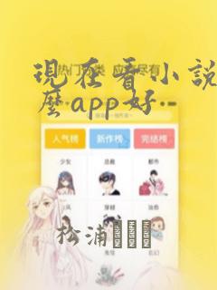 现在看小说用什么app好