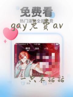 gay免费av