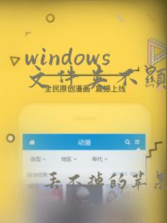 windows文件夹不显示预览