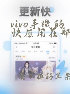 vivo手机的快应用在哪里