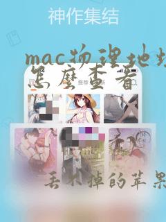 mac物理地址怎么查看