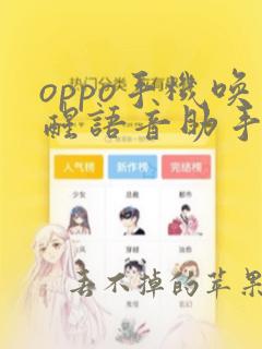 oppo手机唤醒语音助手叫什么