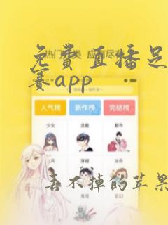 免费直播足球比赛app