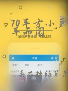 70平方小户型平面图