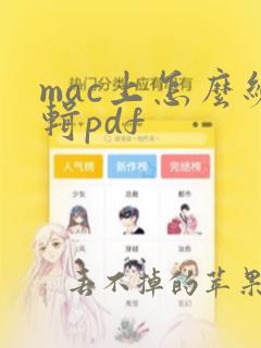 mac上怎么编辑pdf