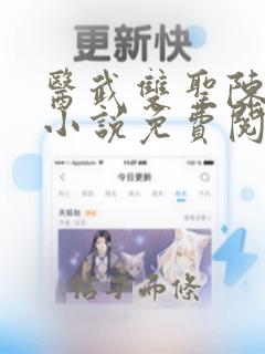 医武双圣陈不凡小说免费阅读