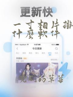 一寸相片排版用什么软件