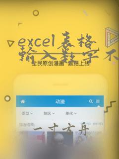 excel表格输入数字不显示怎么办