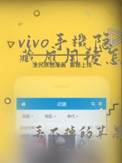 vivo手机隐藏应用后怎么找到应用