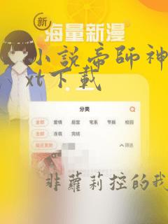 小说帝师神少txt下载