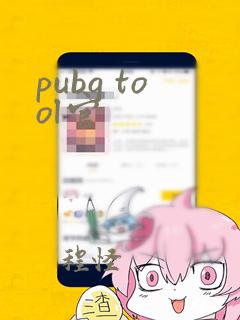 pubg tool官